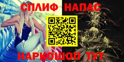 spice Бузулук