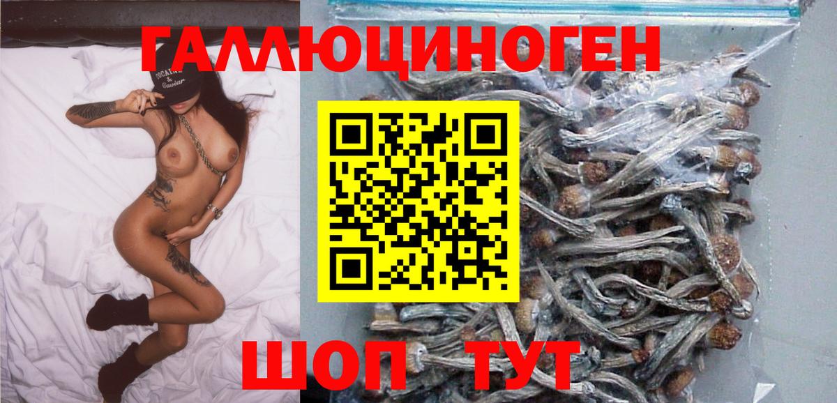 Галлюциногенные грибы GOLDEN TEACHER  Вход с VPN  магазин    Соль-Илецк 